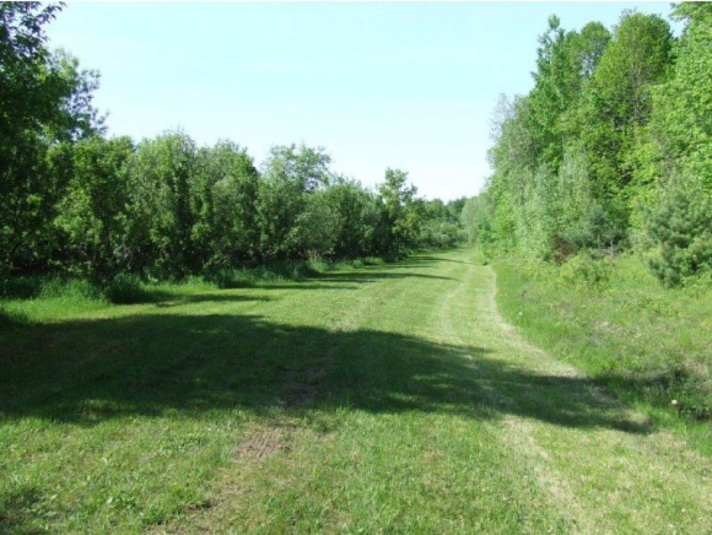 Lot 2 Parkhill Road Cornwall, VT 05753 - Photo 3 of 11