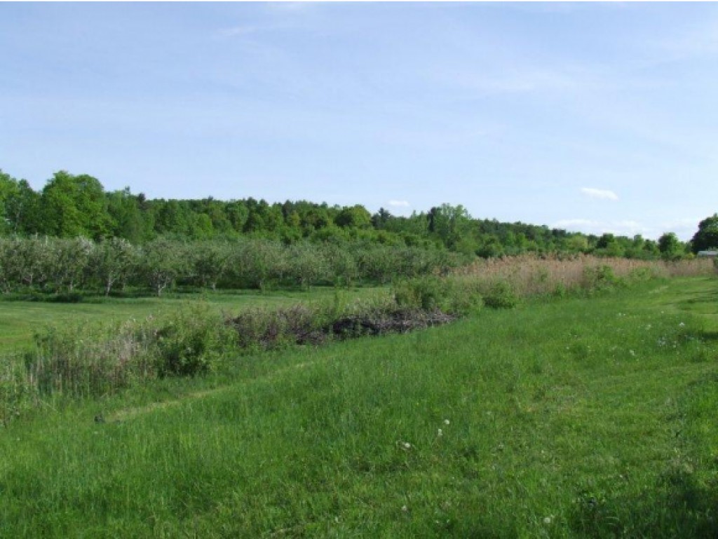 Lot 2 Parkhill Road Cornwall, VT 05753 - Photo 4 of 11