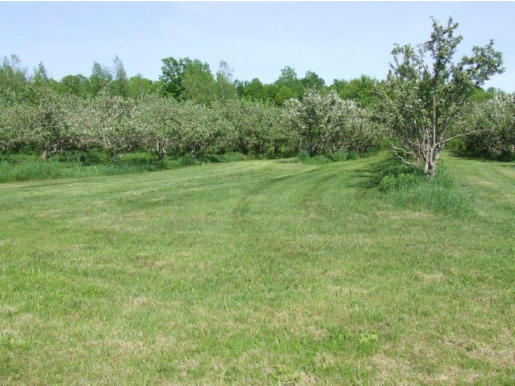 Lot 2 Parkhill Road Cornwall, VT 05753 - Photo 5 of 11