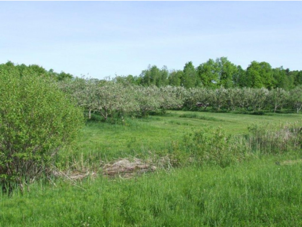 Lot 2 Parkhill Road Cornwall, VT 05753 - Photo 6 of 11