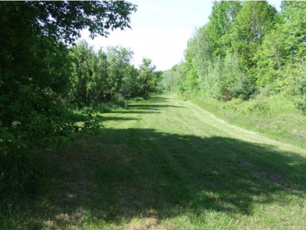 Lot 2 Parkhill Road Cornwall, VT 05753 - Photo 7 of 11