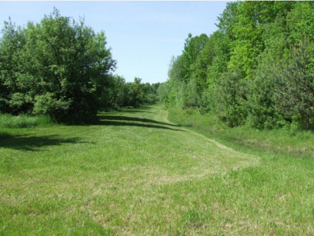Lot 2 Parkhill Road Cornwall, VT 05753 - Photo 10 of 11