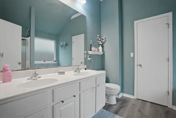 a bathroom with a sink a toilet and a large mirror