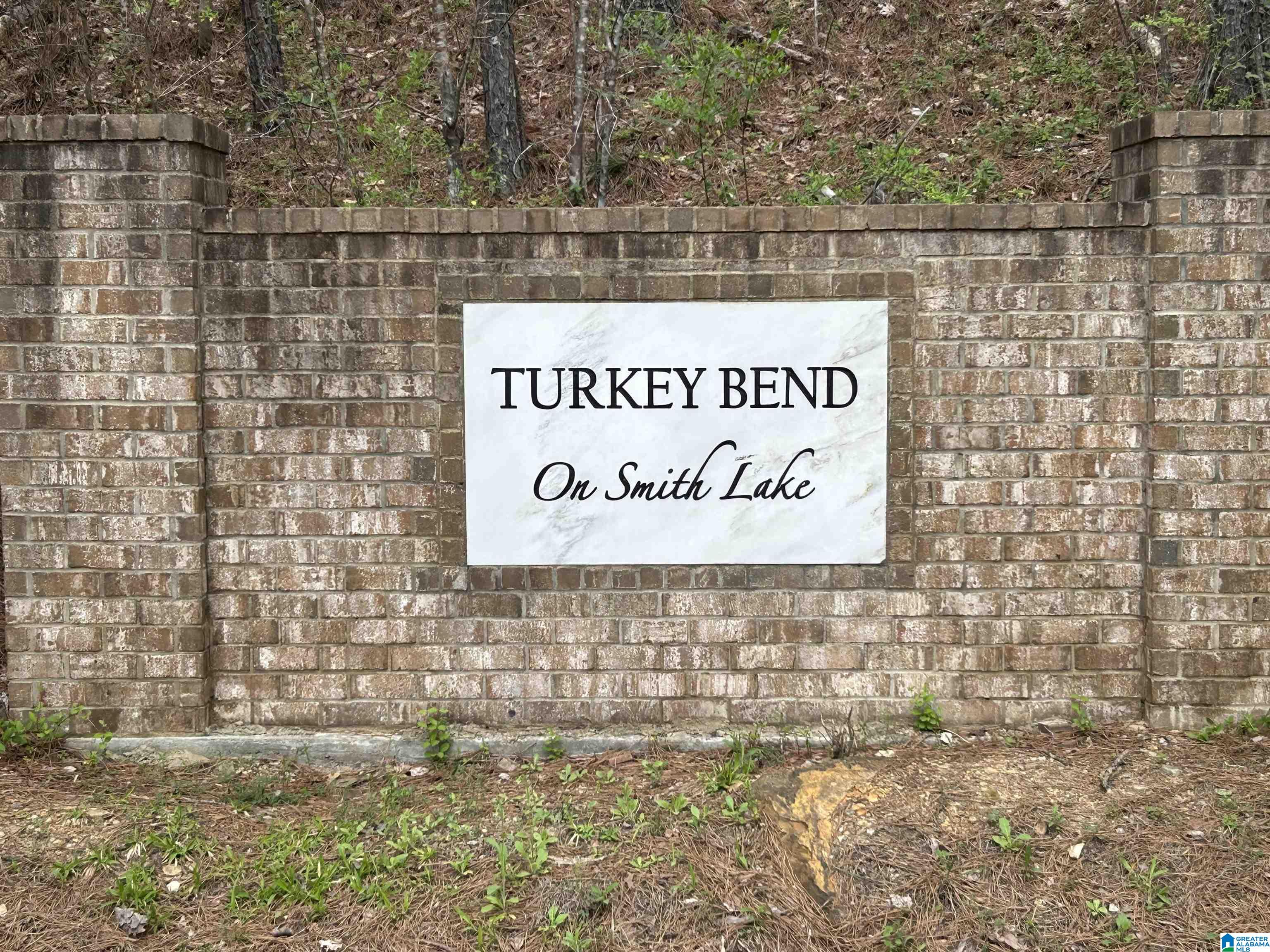 Lot 16 Turkey Bend Drive, Unit 16 Addison, AL 35540 - Photo 2 of 19