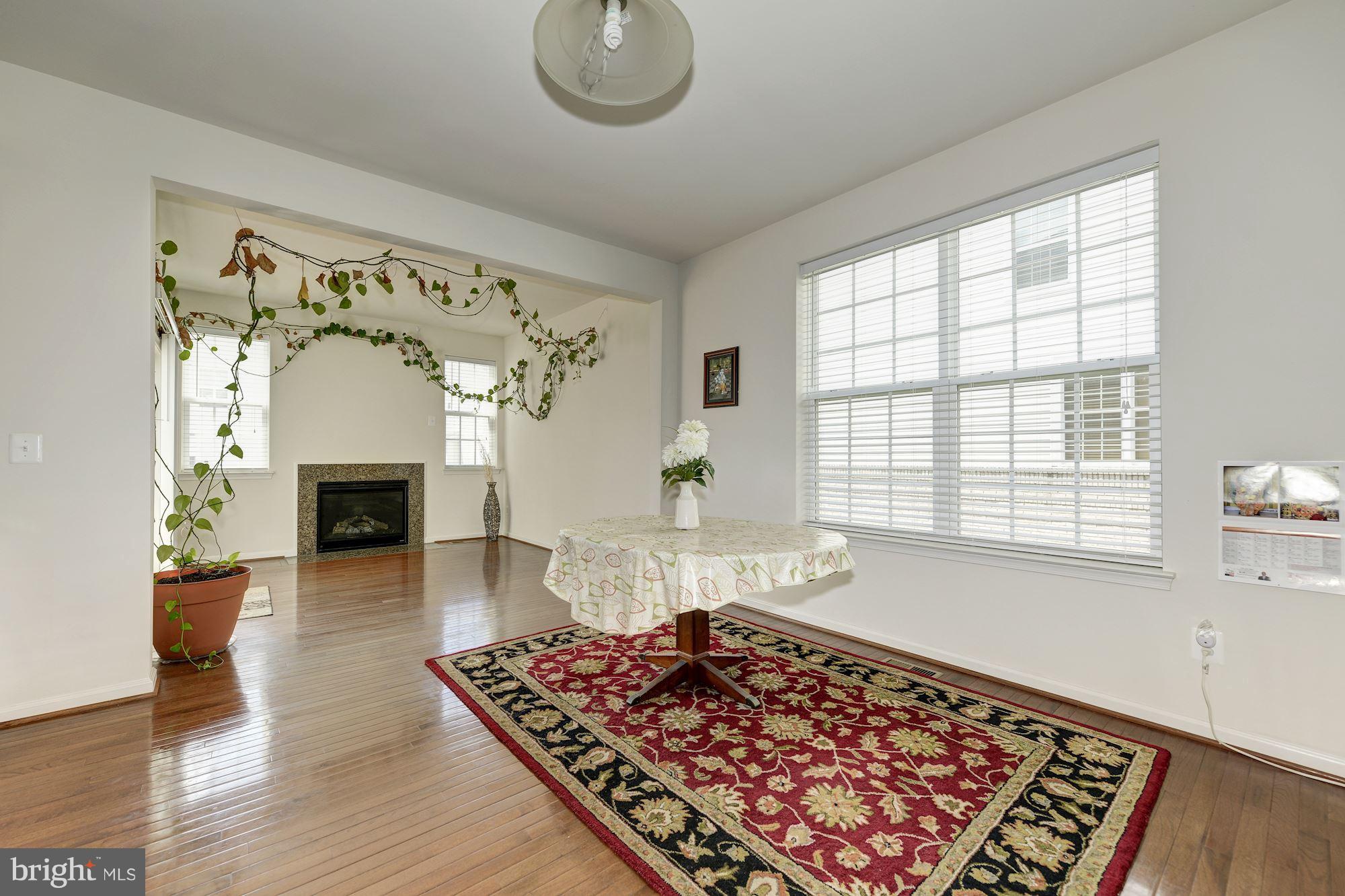 22677 Flowing Spring Square Brambleton, VA 20148 - Photo 10 of 30 Family Room
