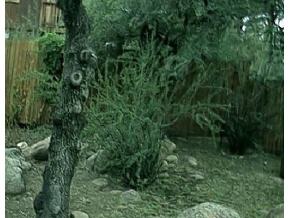 1146 Sunup Road Prescott, AZ 86303 - Photo 14 of 14 Additional Photo