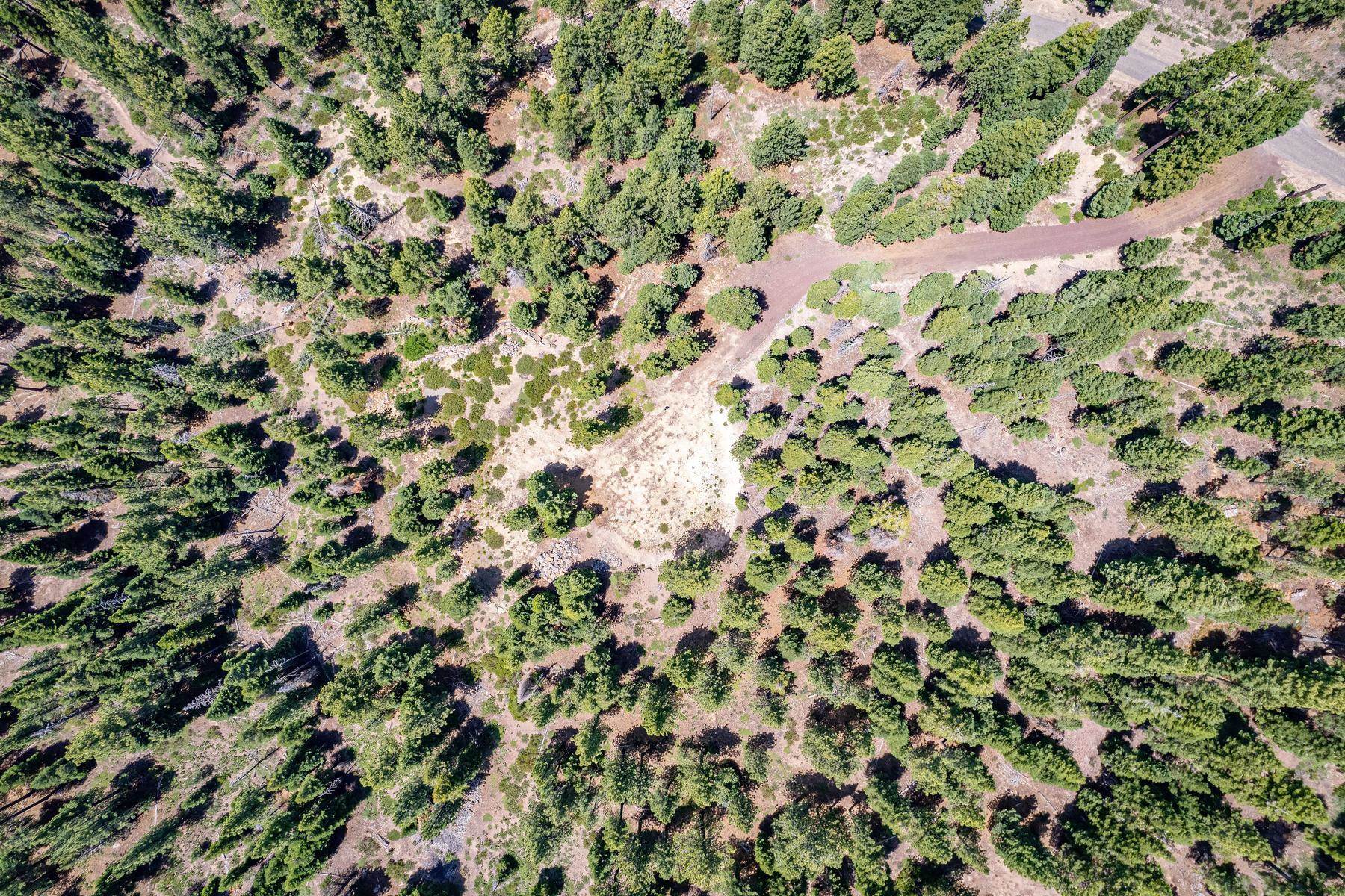 16145 Martis Peak Road Truckee, CA 96161 - Photo 17 of 21