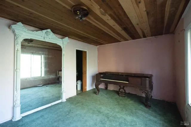 a view of a tree with a yard