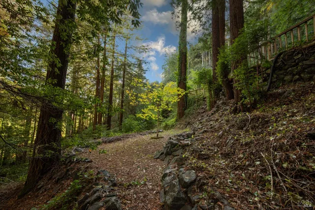 a view of backyard with green space