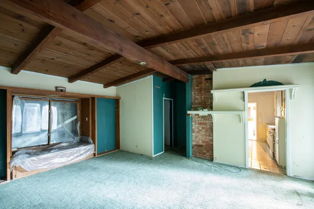 a view of a forest with trees in the background