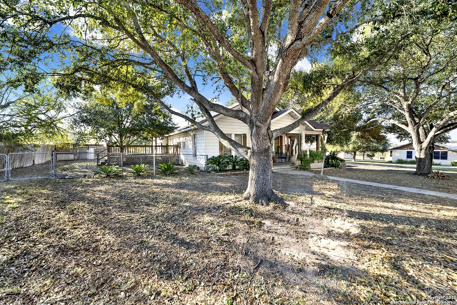 612 East Guadalupe Street Runge, TX 78151 - Photo 8 of 44 a view of a yard with plants and trees