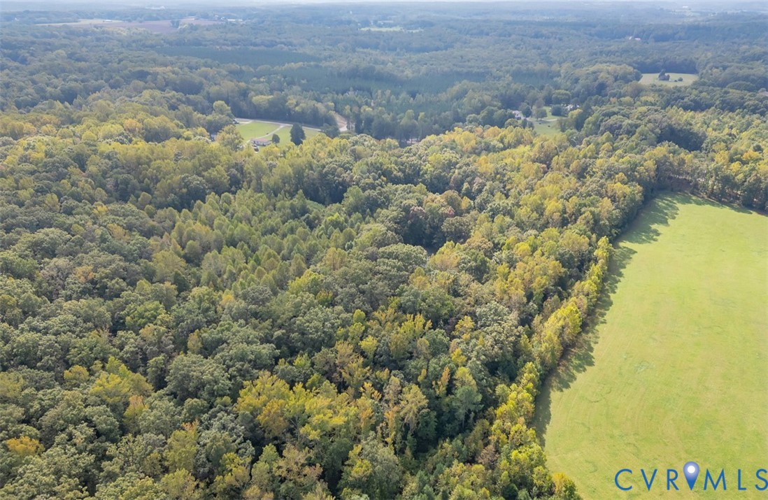 1905 Hicks Road Crozier, VA 23039 - Photo 2 of 7 a view of a yard with a lake