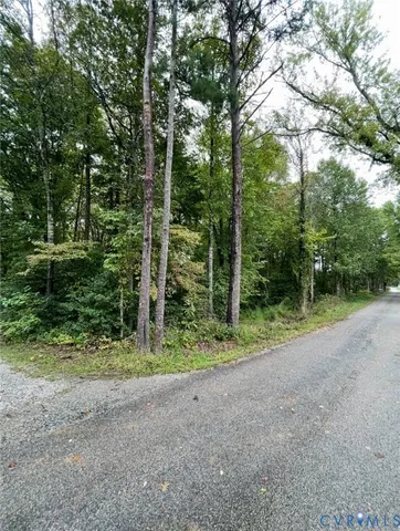 a view of a field with trees in the background