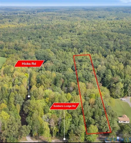 a view of a lush green field with a tree