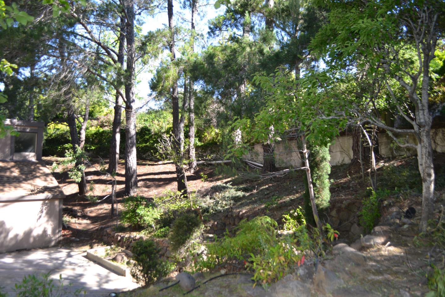 85 Bates Road Hillsborough, CA 94010 - Photo 27 of 30 Gallery Image 27