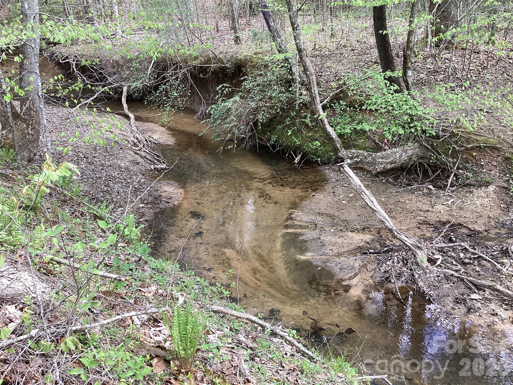 4017 Piney Road Morganton, NC 28655 - Photo 13 of 32