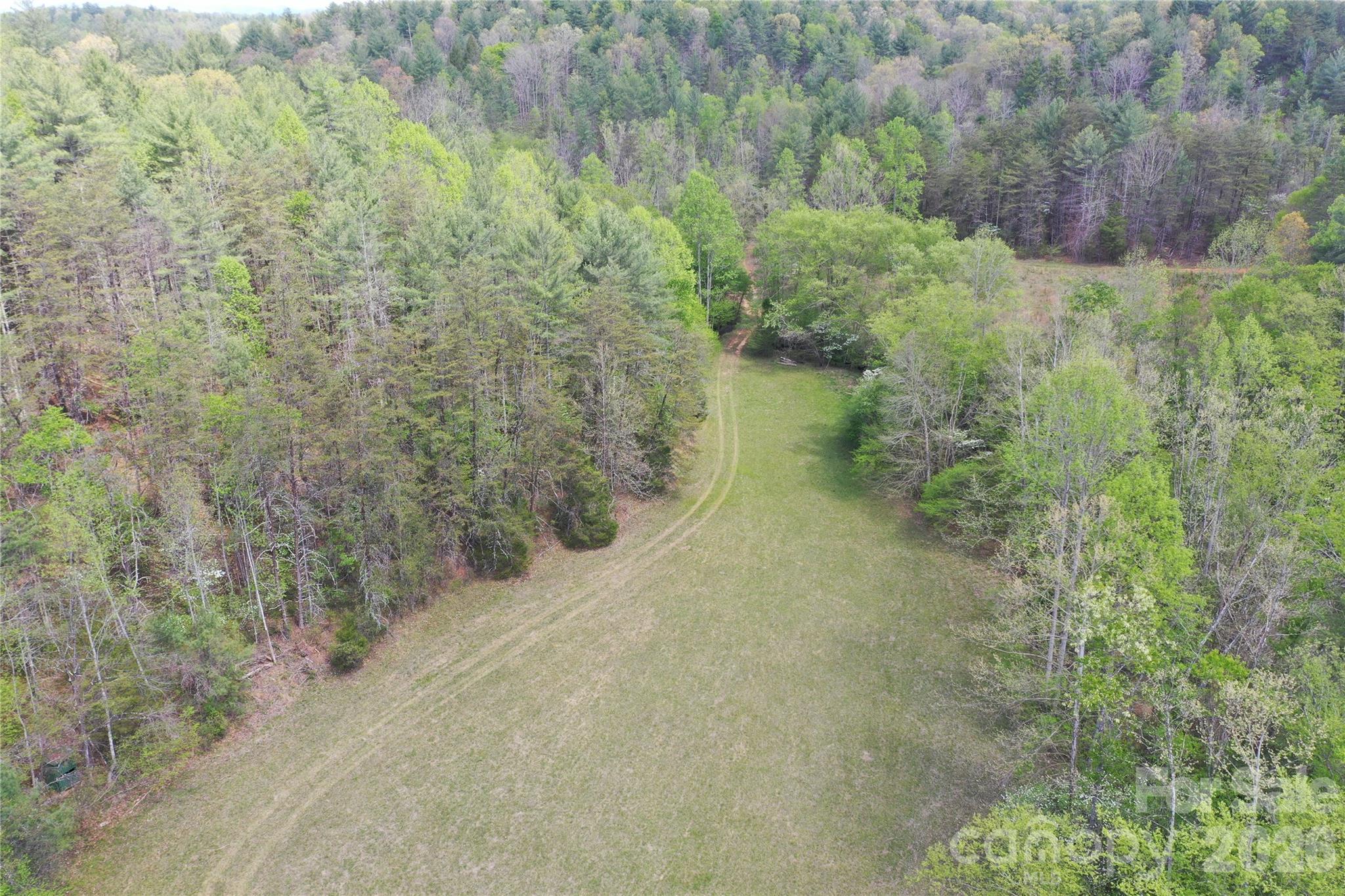 4017 Piney Road Morganton, NC 28655 - Photo 14 of 32