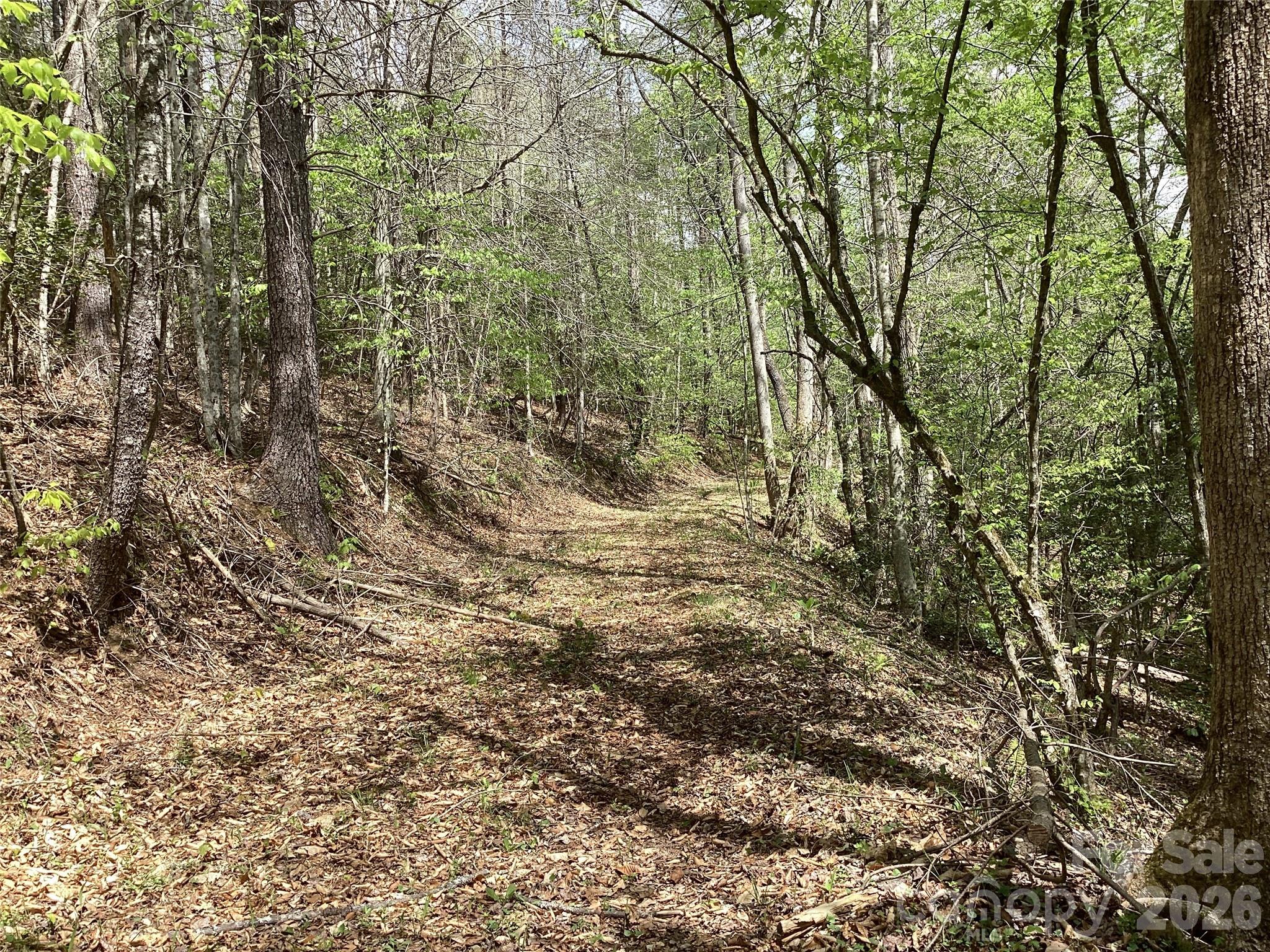 4017 Piney Road Morganton, NC 28655 - Photo 17 of 32