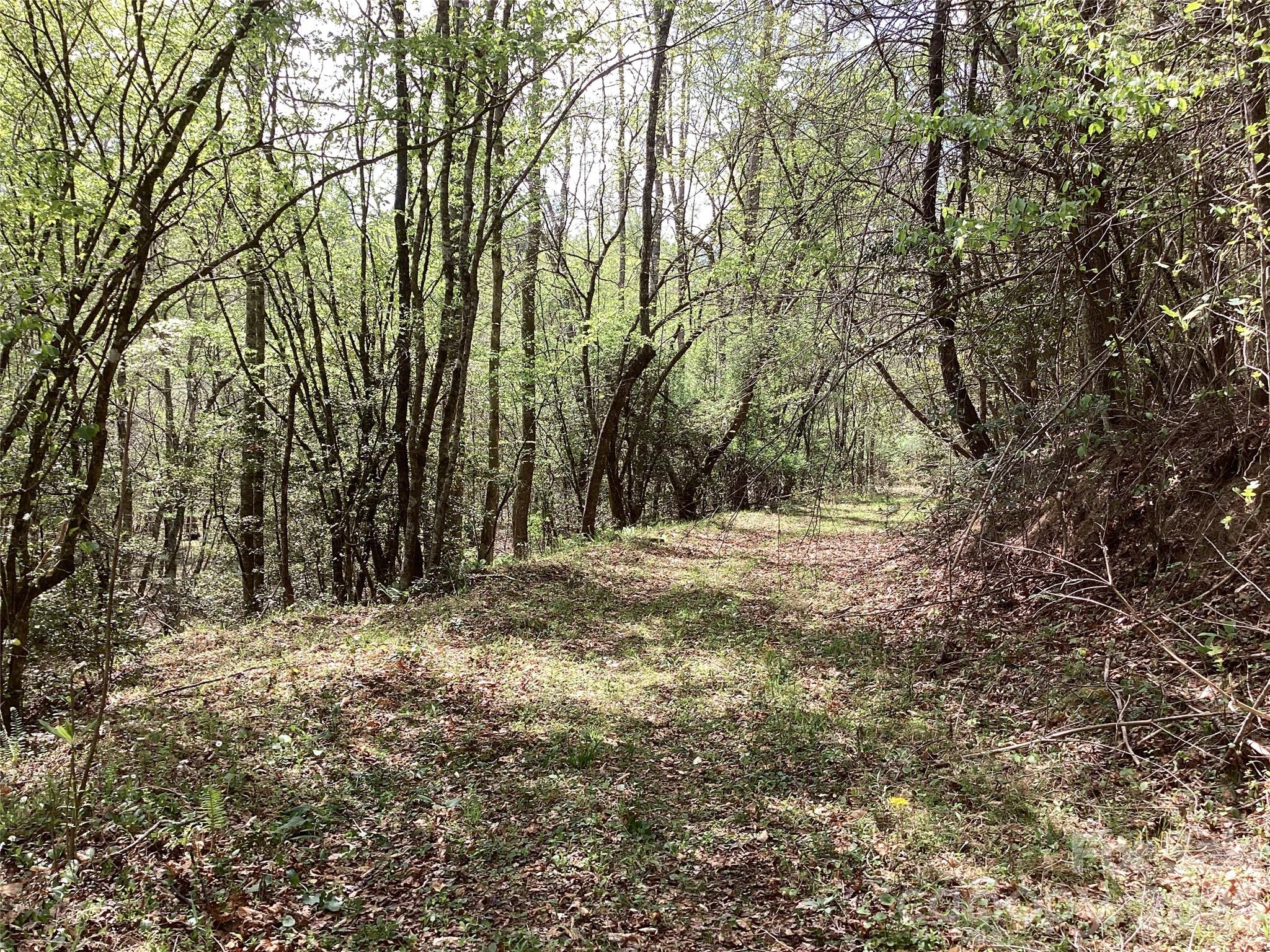 4017 Piney Road Morganton, NC 28655 - Photo 18 of 32