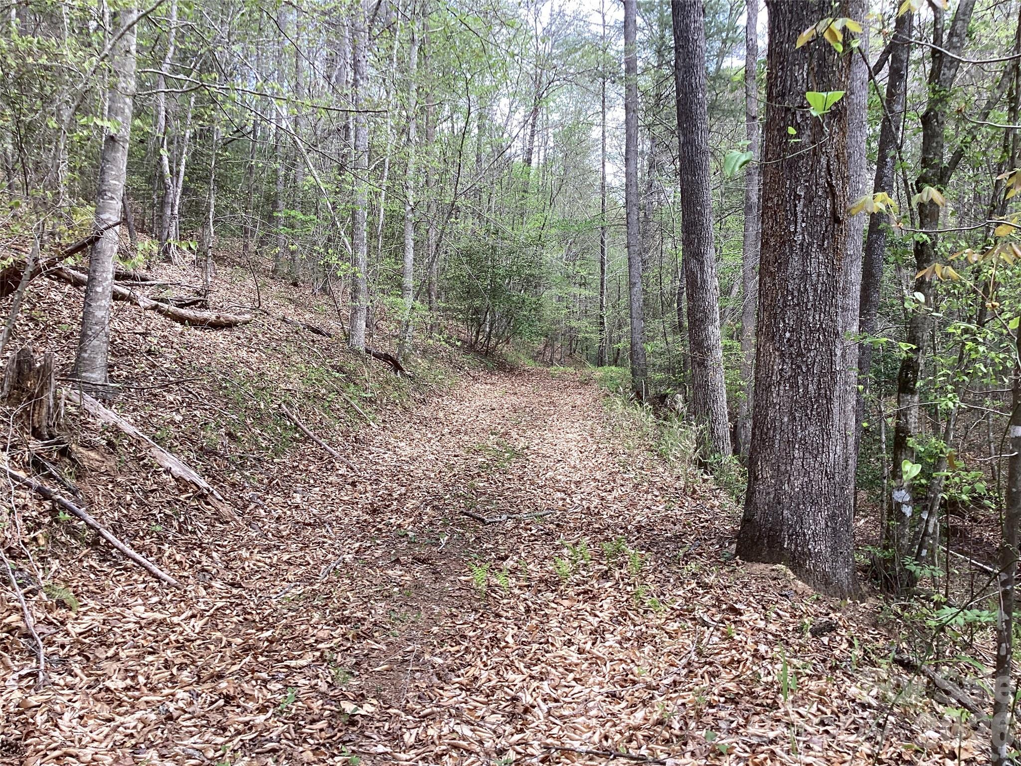 4017 Piney Road Morganton, NC 28655 - Photo 19 of 32