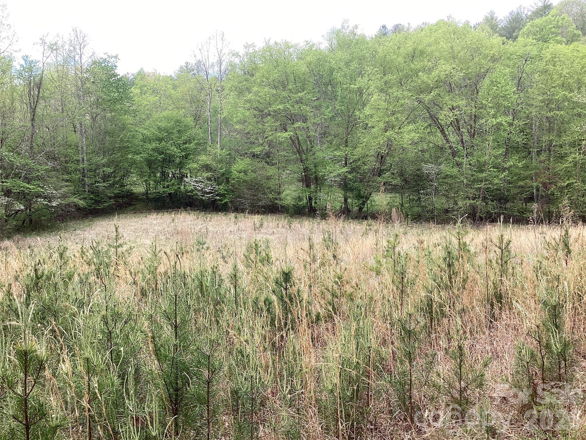 4017 Piney Road Morganton, NC 28655 - Photo 20 of 32