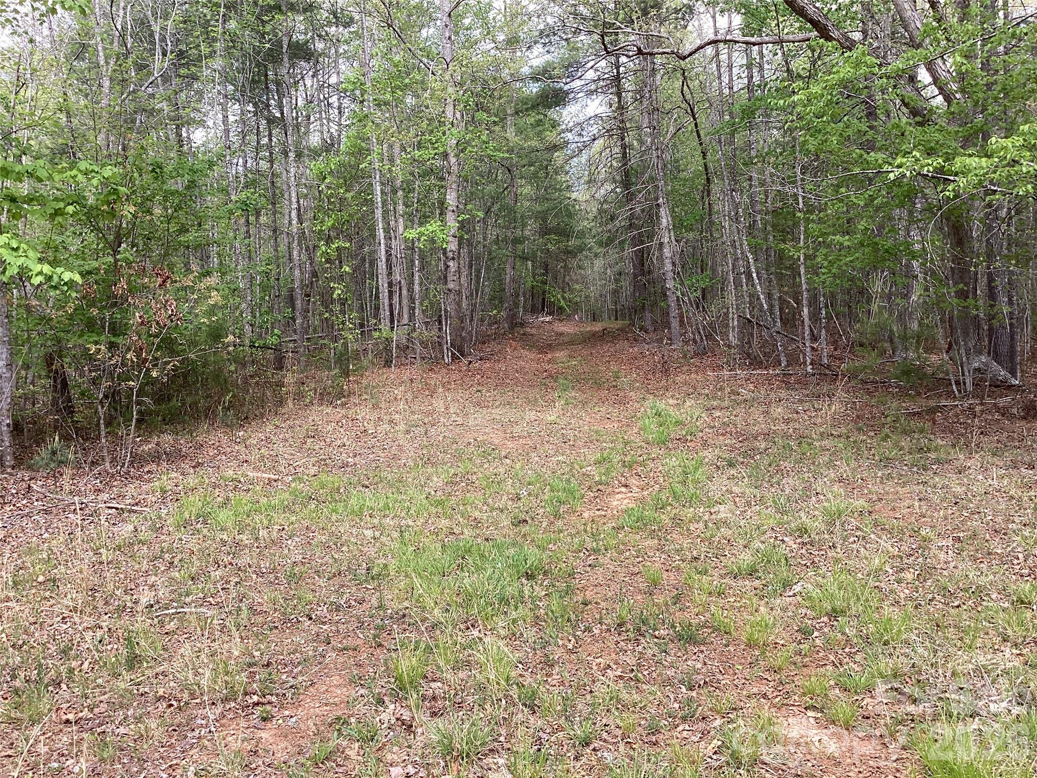 4017 Piney Road Morganton, NC 28655 - Photo 21 of 32