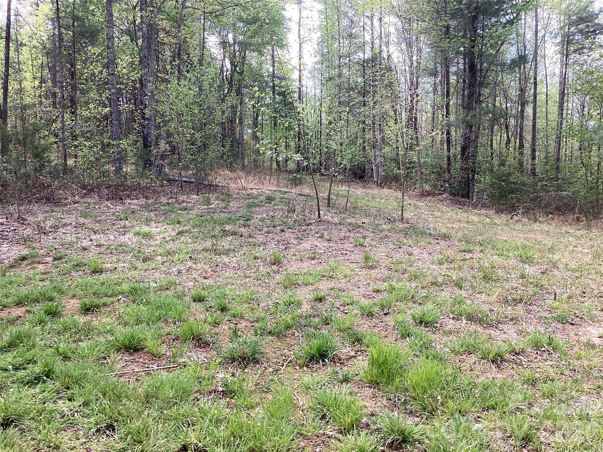 4017 Piney Road Morganton, NC 28655 - Photo 27 of 32