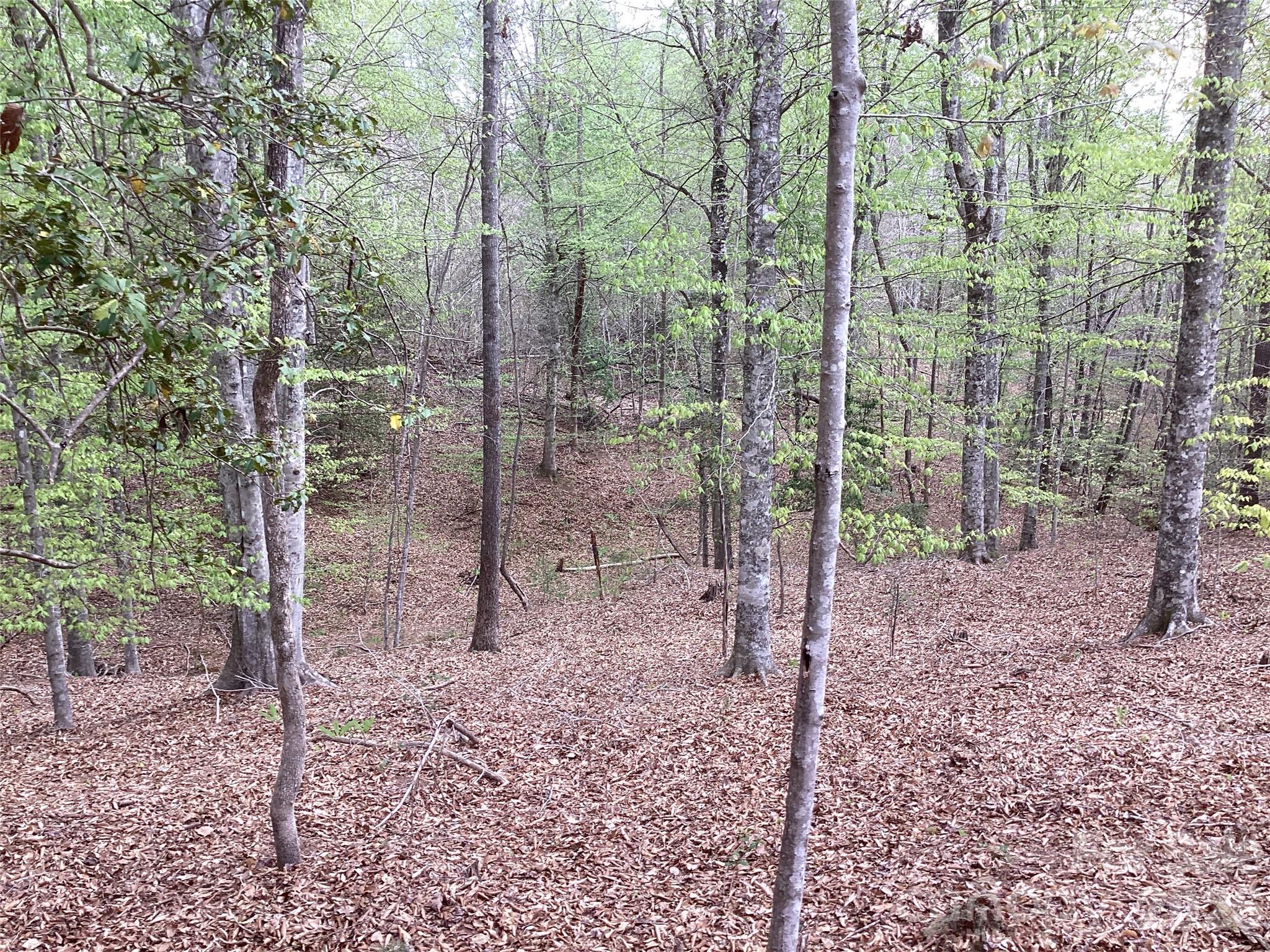 4017 Piney Road Morganton, NC 28655 - Photo 28 of 32