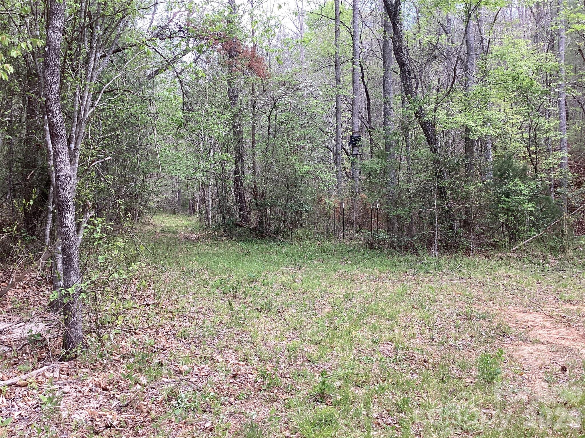 4017 Piney Road Morganton, NC 28655 - Photo 29 of 32