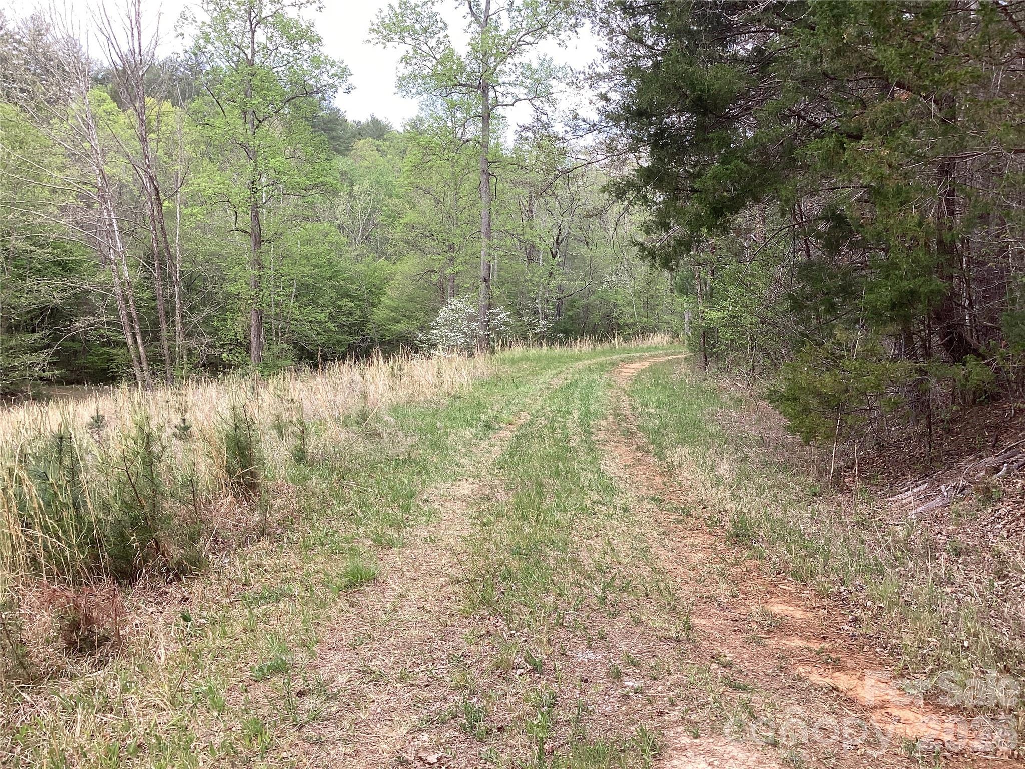 4017 Piney Road Morganton, NC 28655 - Photo 30 of 32