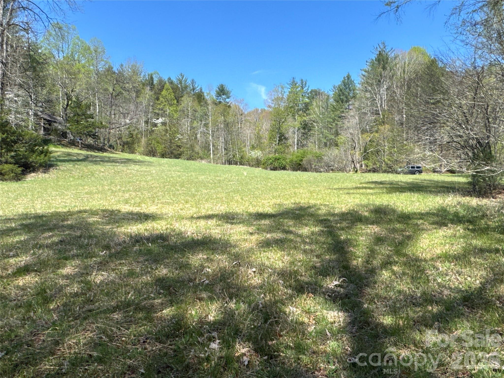 4017 Piney Road Morganton, NC 28655 - Photo 3 of 32