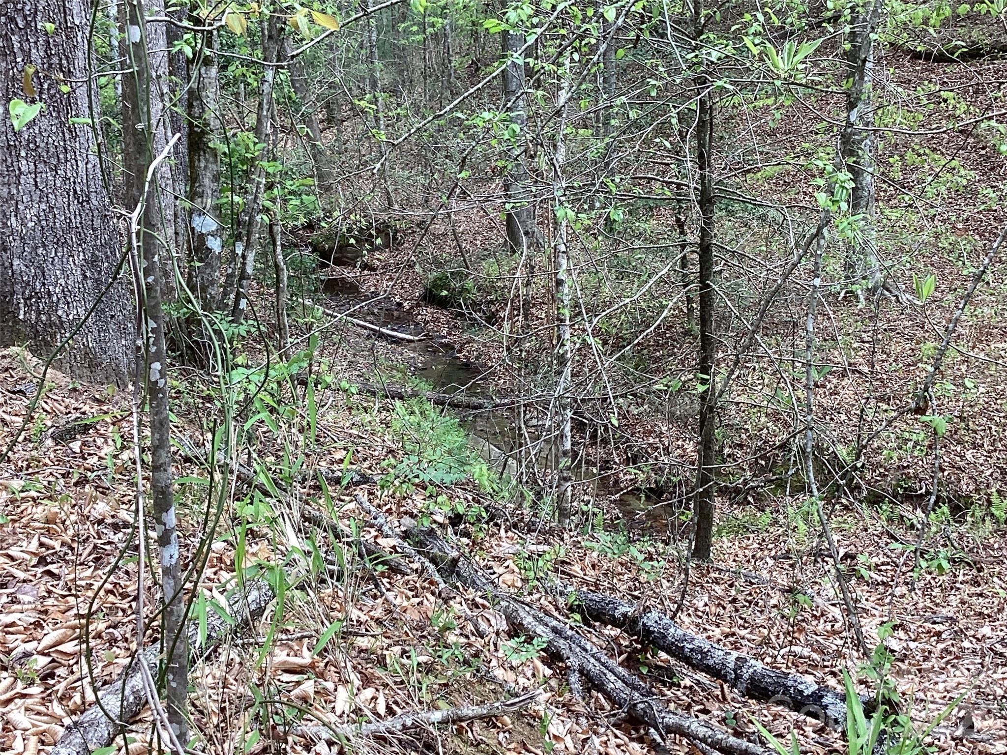 4017 Piney Road Morganton, NC 28655 - Photo 31 of 32