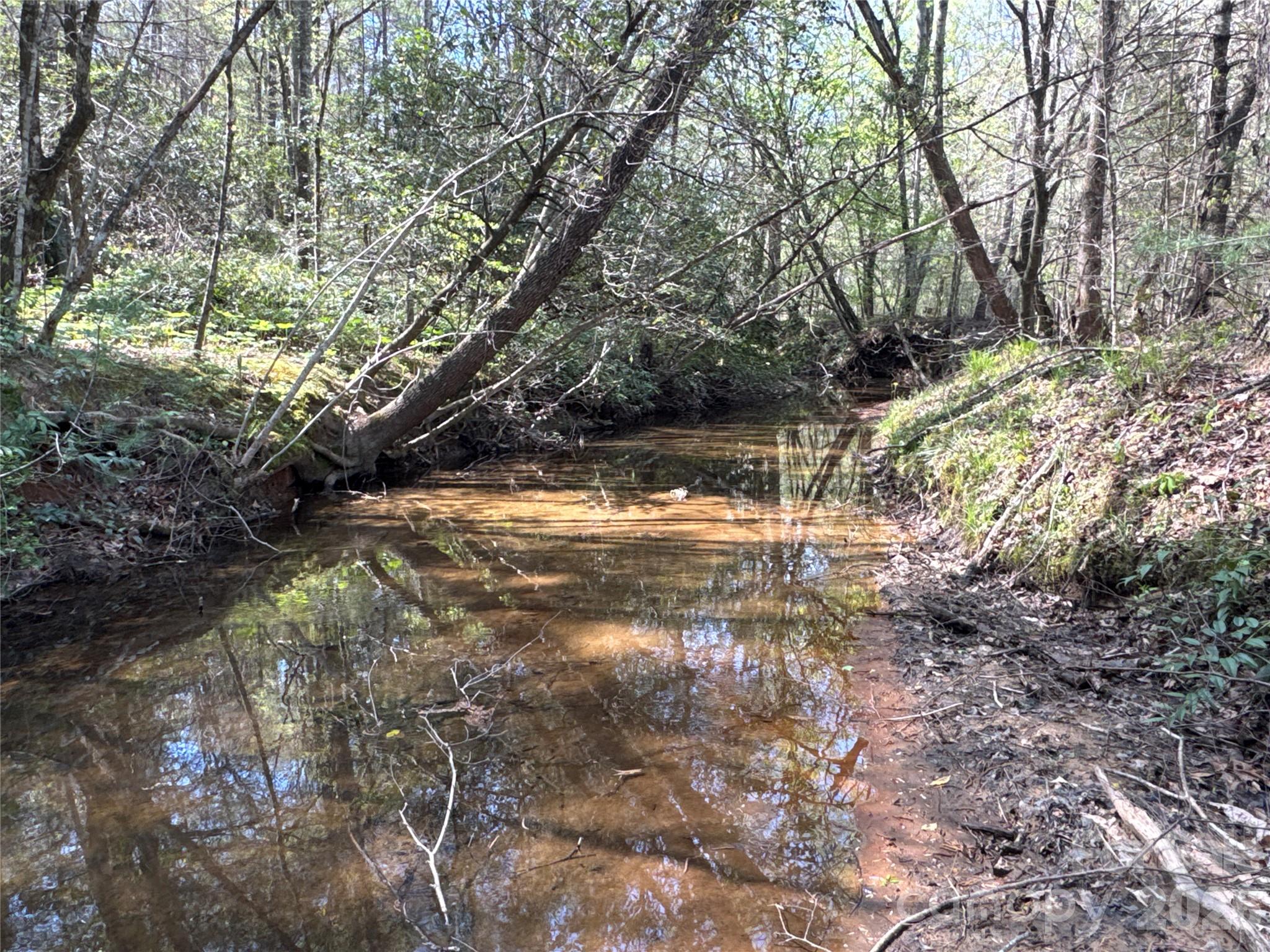 4017 Piney Road Morganton, NC 28655 - Photo 5 of 32