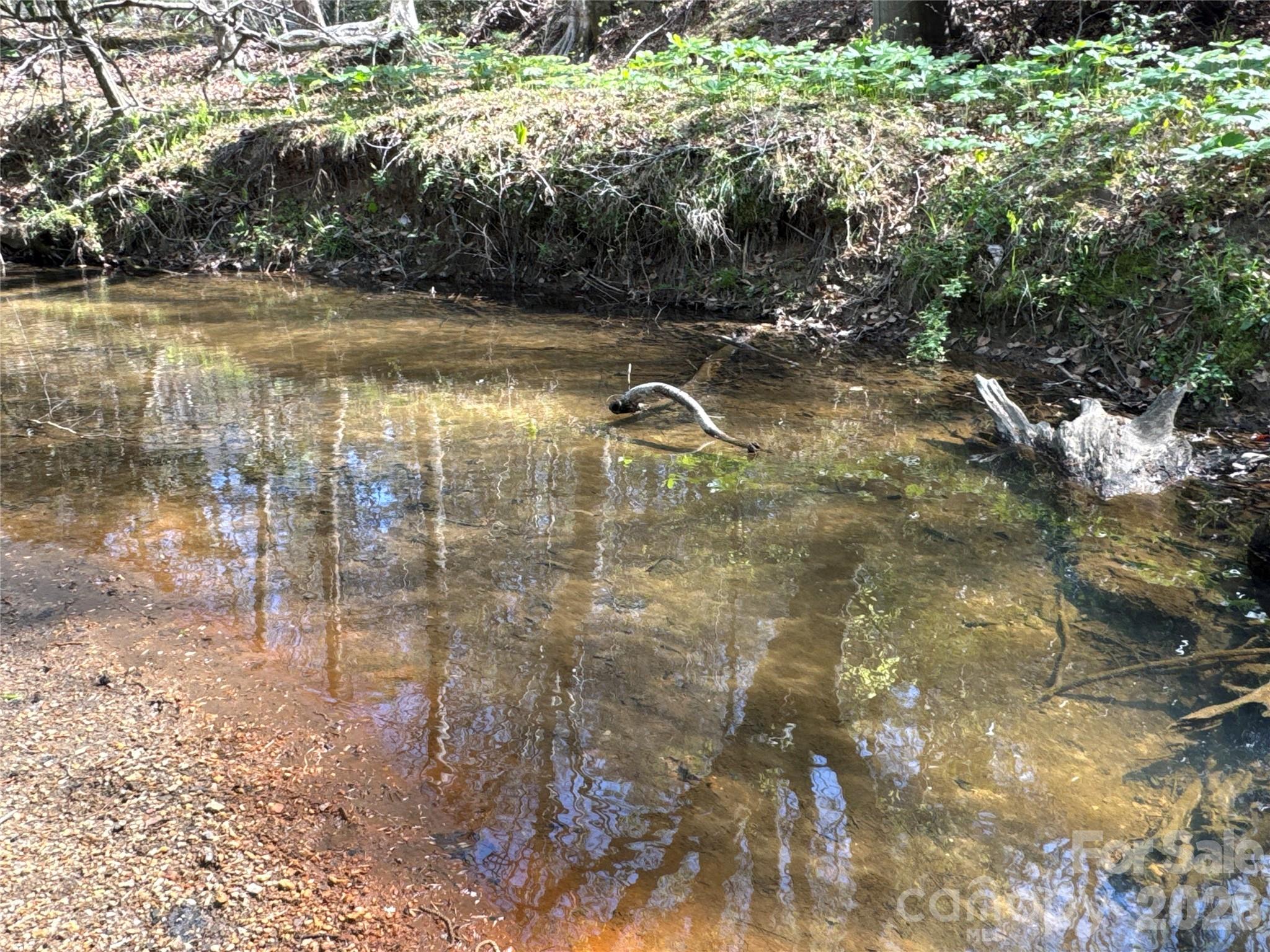 4017 Piney Road Morganton, NC 28655 - Photo 6 of 32