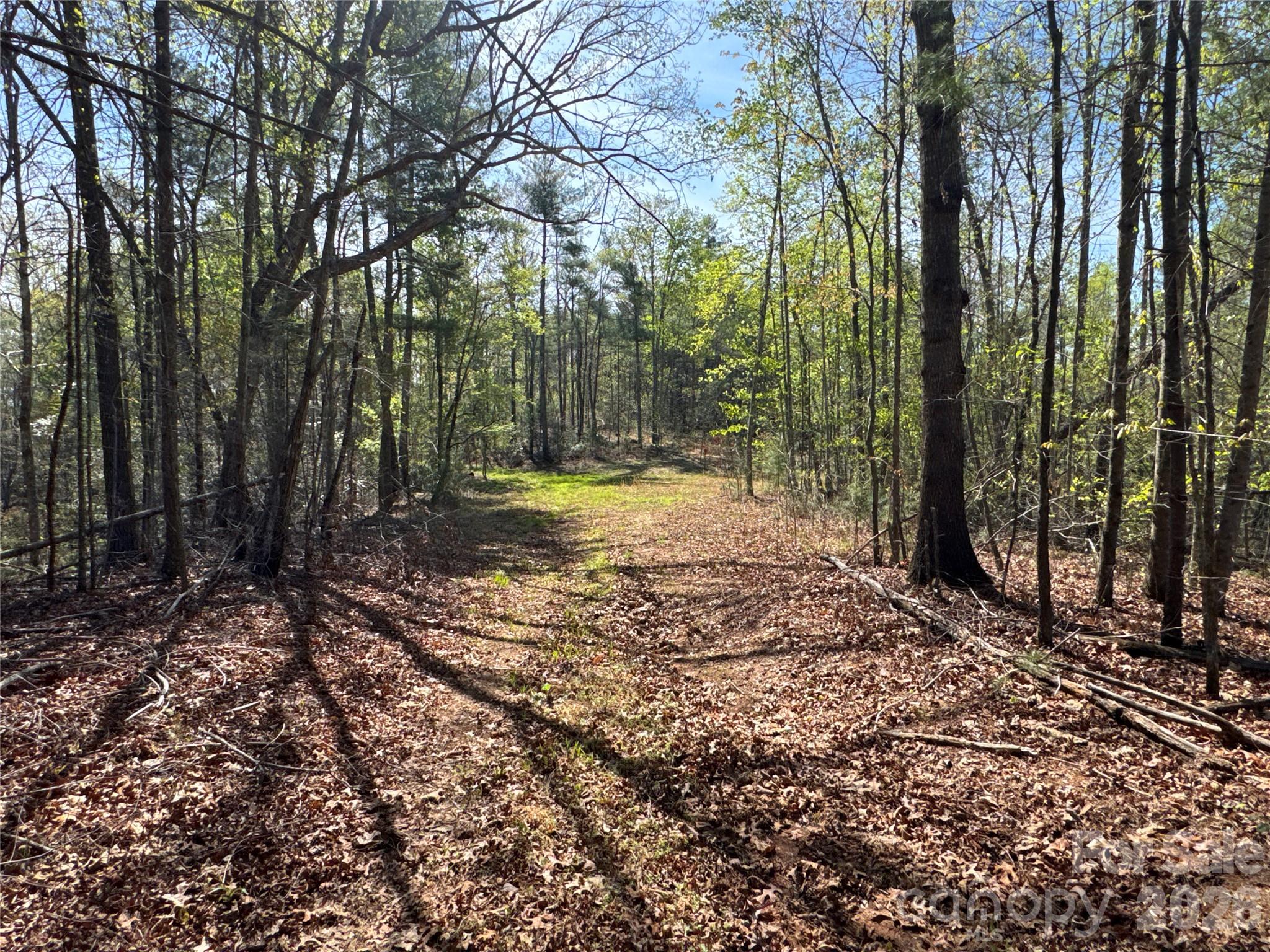 4017 Piney Road Morganton, NC 28655 - Photo 10 of 32