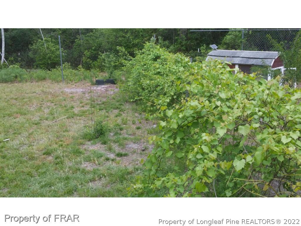 8039 Arabia Road Lumber Bridge, NC 28357 - Photo 18 of 27 Gallery Image 18