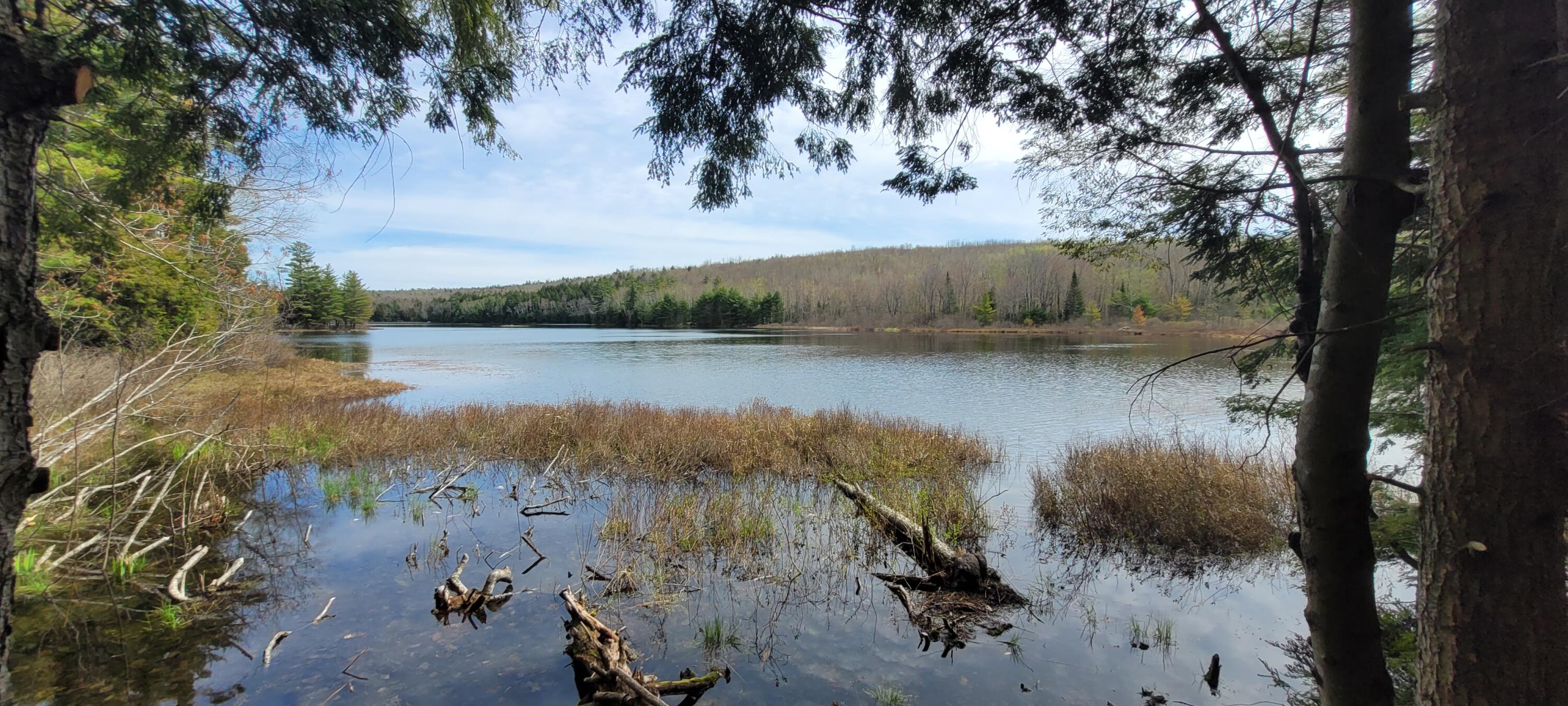 0 Middle Pond Road Clifton, ME 04428 - Photo 24 of 30 20240508_101609