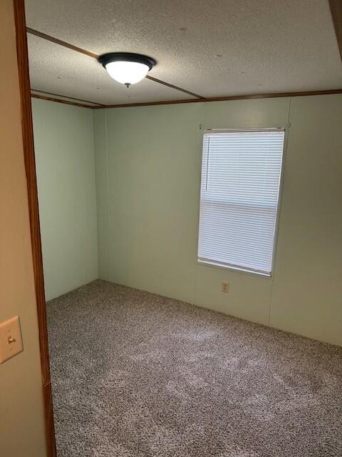910 State Rd S-8-357 Moncks Corner, SC 29461 - Photo 9 of 12 tempImageagIRiY