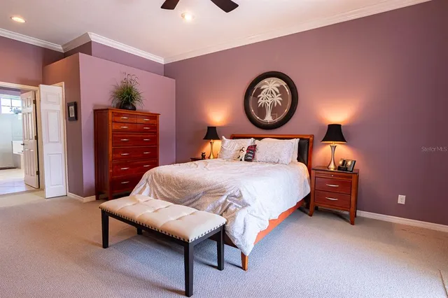 a living room with furniture a lamp and a potted plant