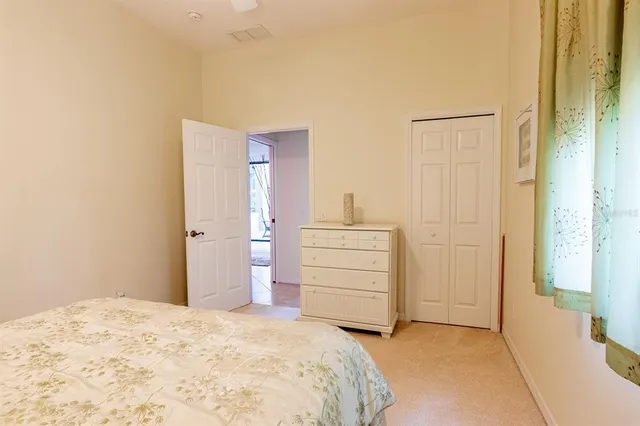 a view of a yard with a palm tree