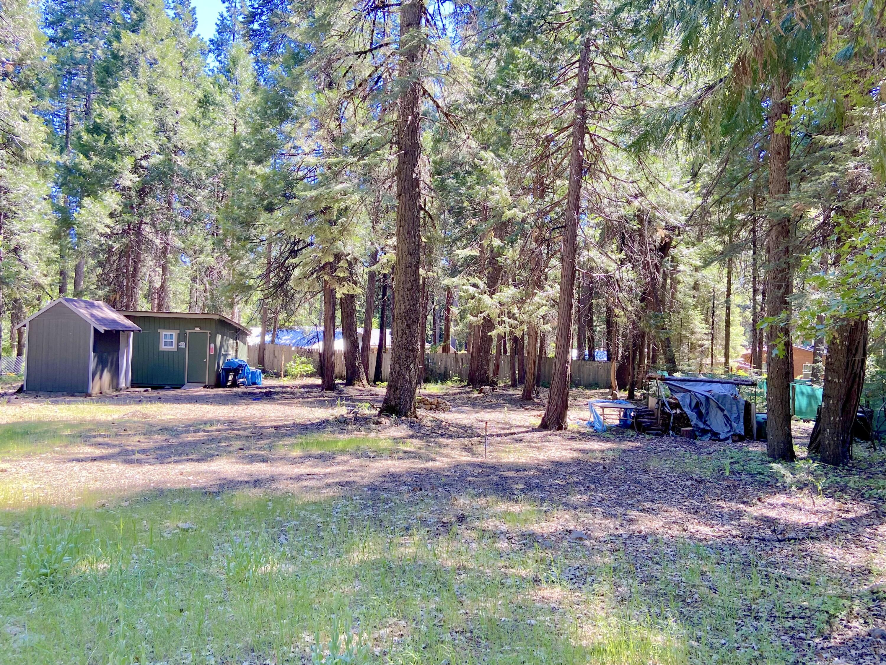 33117 Sites Road Shingletown, CA 96088 - Photo 5 of 23 a view of a outdoor space with trees