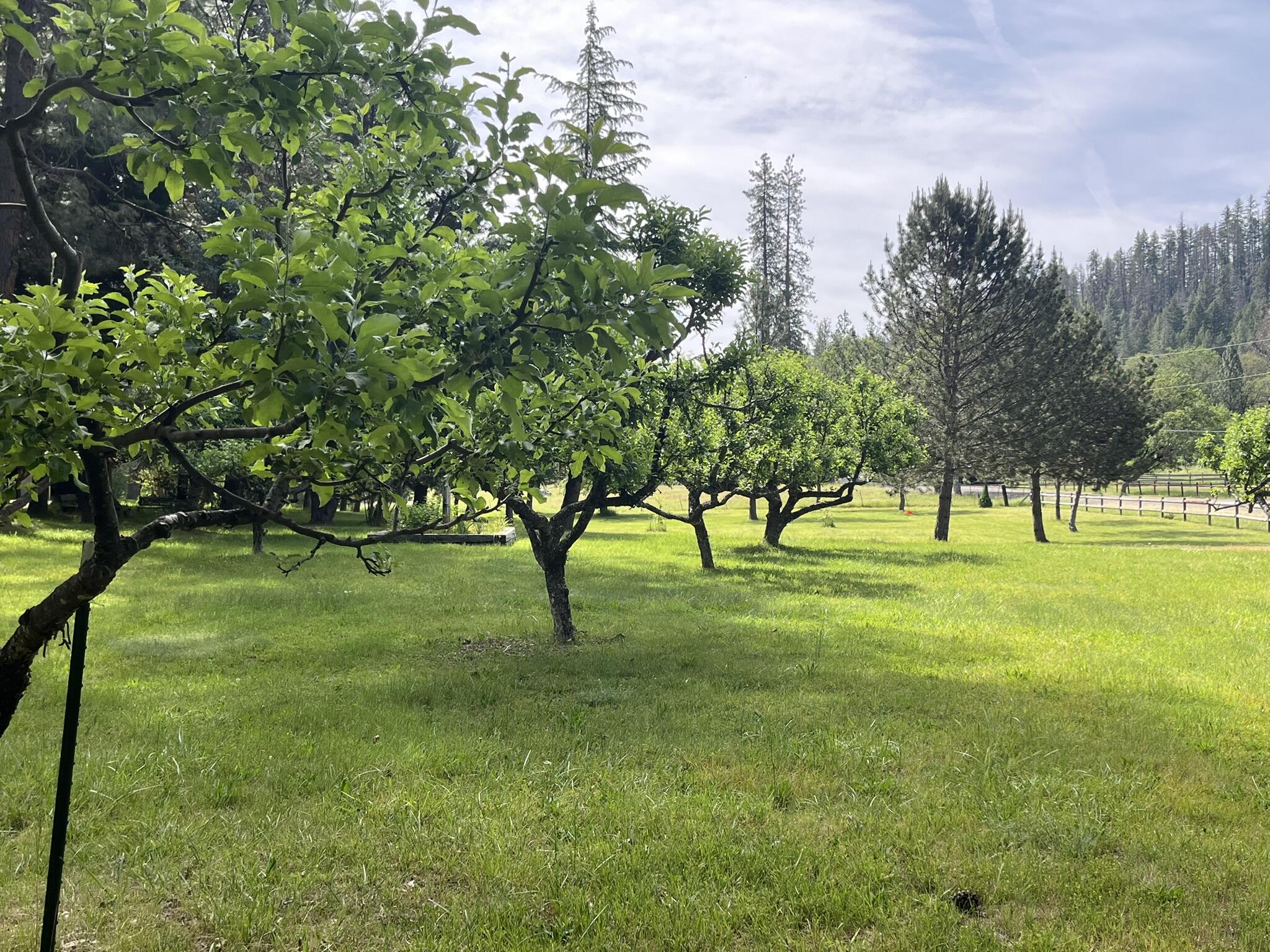 6900 Crowfoot Road Trail, OR 97541 - Photo 2 of 35 IMG_9973