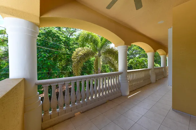 a view of a backyard with table and chairs potted plants and palm trees