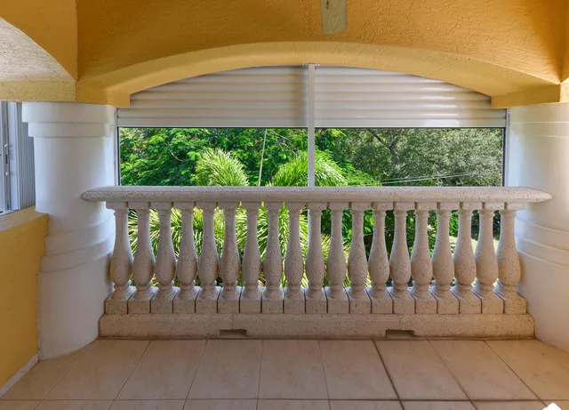 a view of a trees with a yard