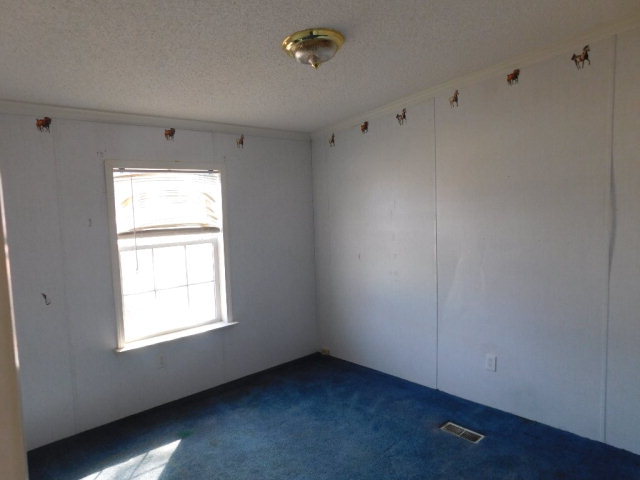 1150 Charlie Watts Road Maxton, NC 28364 - Photo 8 of 27 Additional Photo