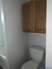 a white toilet sitting next to a shower