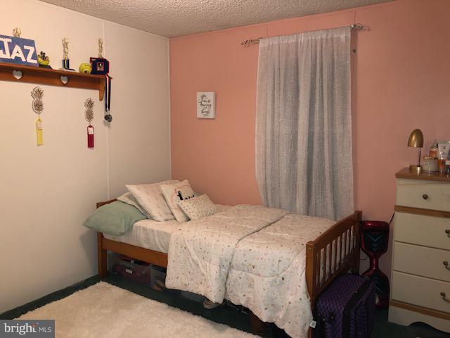 6200 White Deer Road Delmar, DE 19940 - Photo 11 of 13 Gallery Image 11