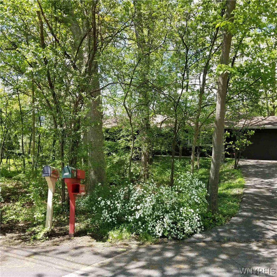 316 Comstock Road Ithaca Town, NY 14850 - Photo 23 of 27