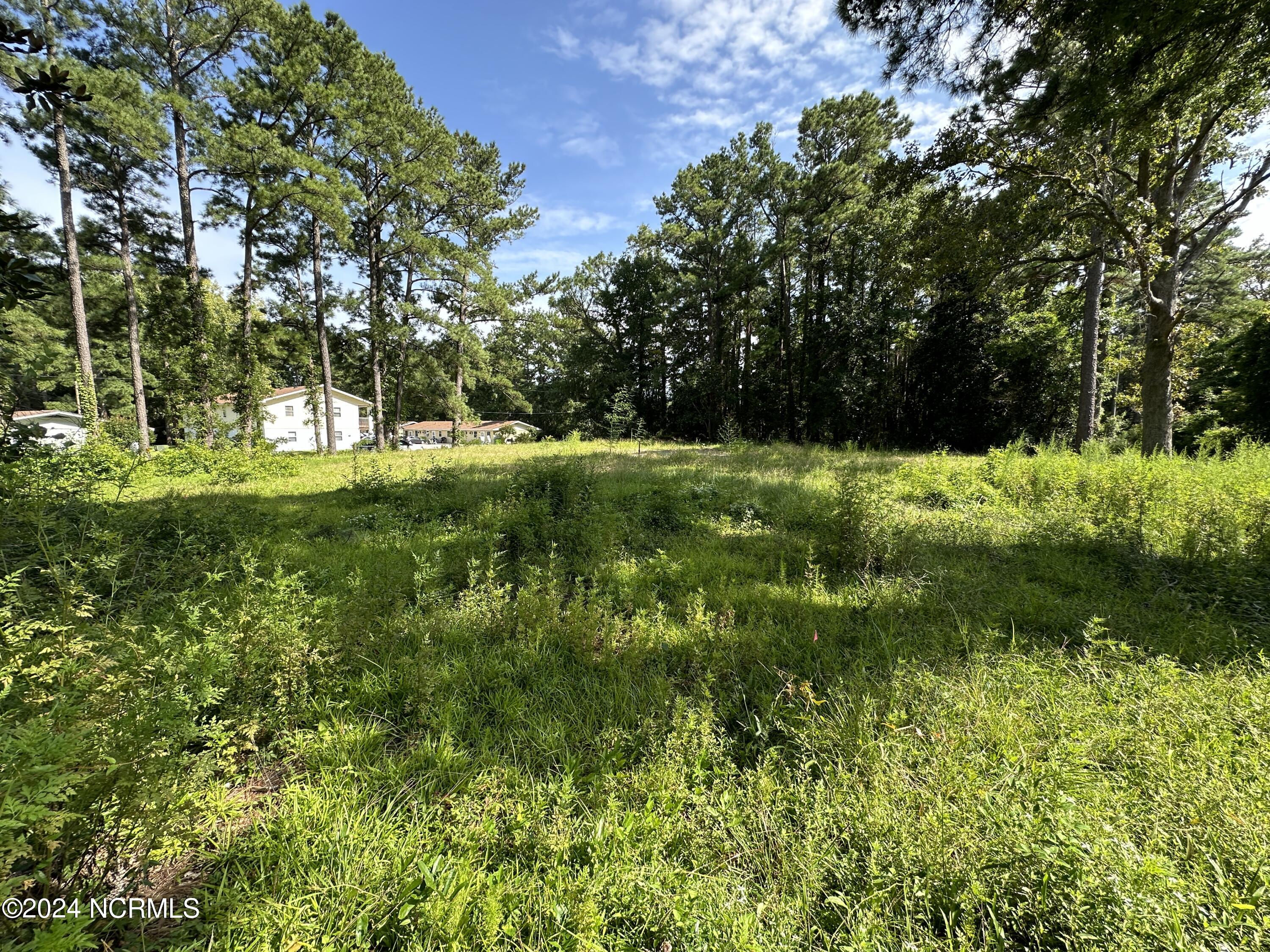 94 Belltown Road Havelock, NC 28532 - Photo 3 of 3 IMG_3067