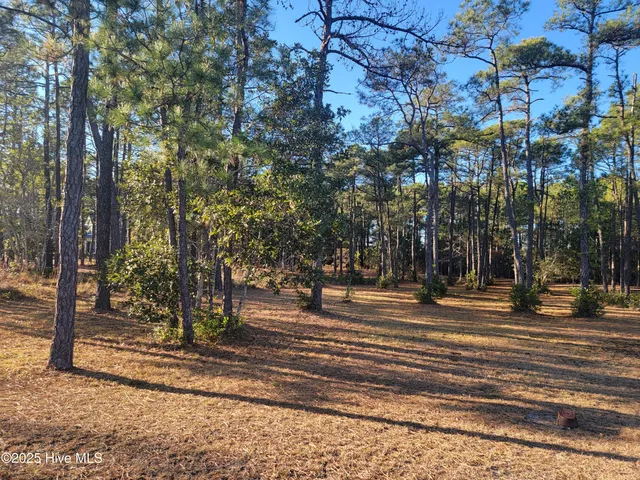 $75,000 | 6727 Dunlowe Notch, Ocean Isle Beach, NC 28469